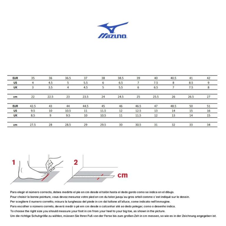 Mizuno Mujin 11: Durability and Protection on the Trail