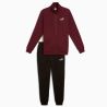 PUMA ESSENTIALS SWEAT SUIT Men