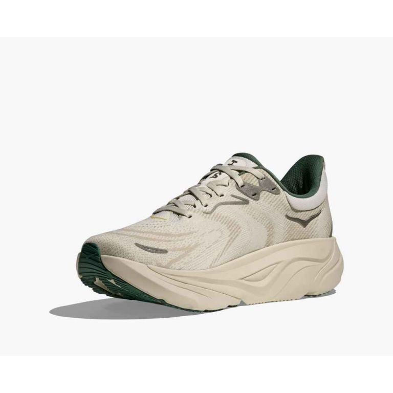 HOKA ARAHI 8 MEN